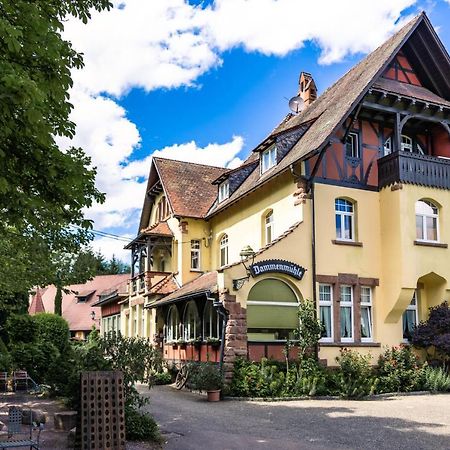 Hotel Dammenmuehle Lahr  Exterior foto