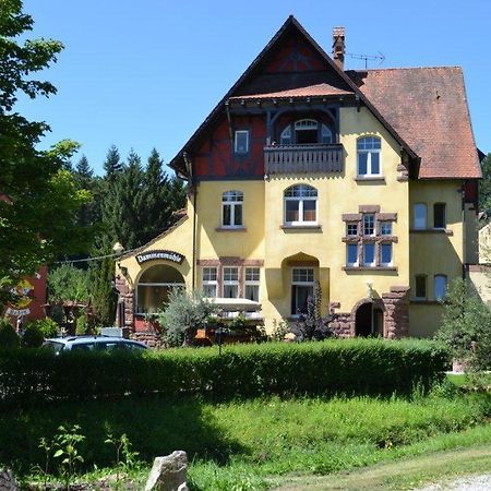 Hotel Dammenmuehle Lahr  Exterior foto