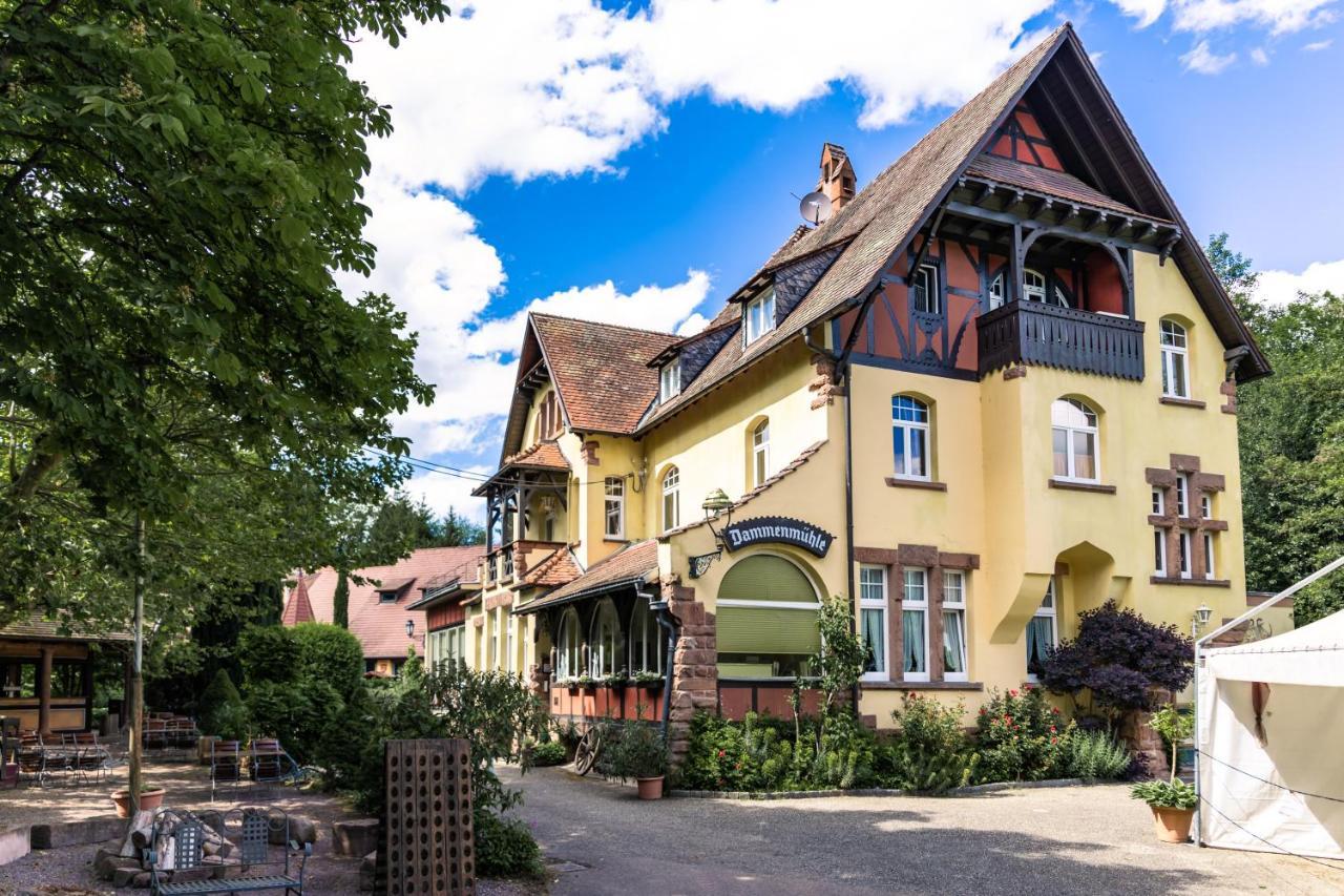 Hotel Dammenmuehle Lahr  Exterior foto