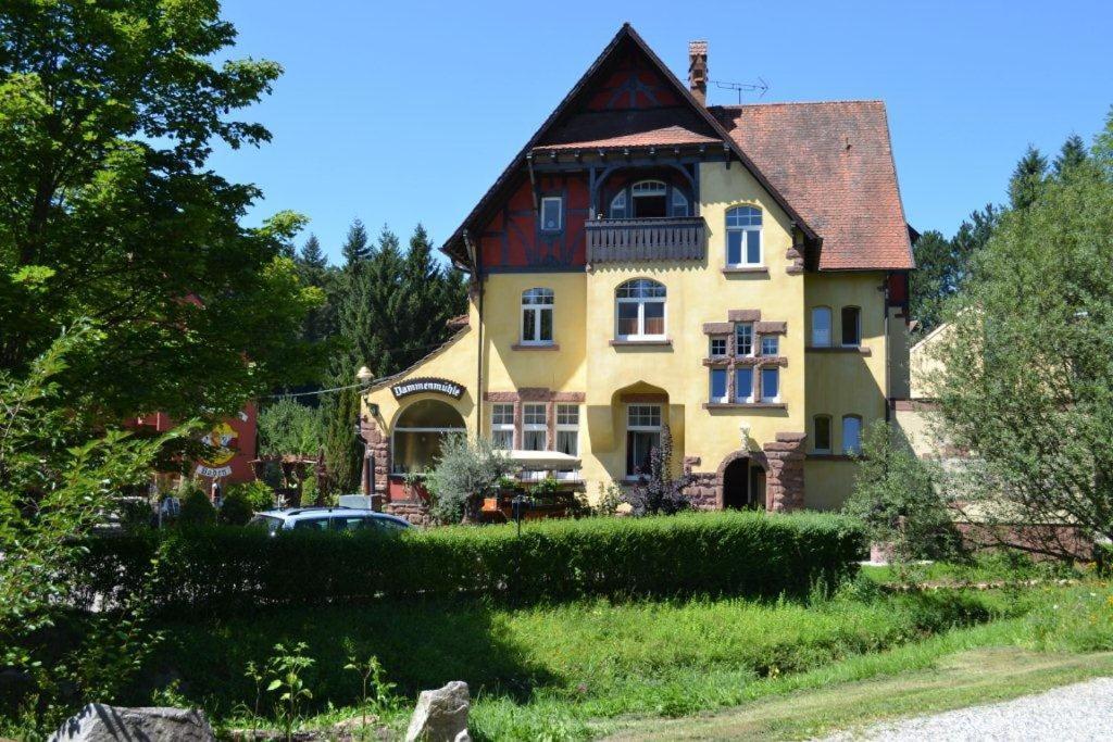 Hotel Dammenmuehle Lahr  Exterior foto